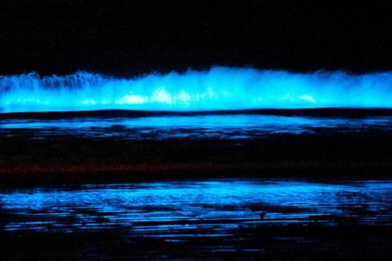 Glowing Waves | La Jolla Beach | San Diego